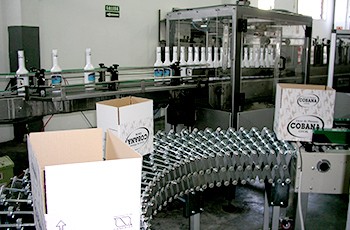 cardboard box forming line